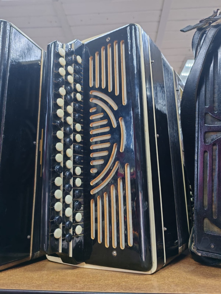 Баян Кировский