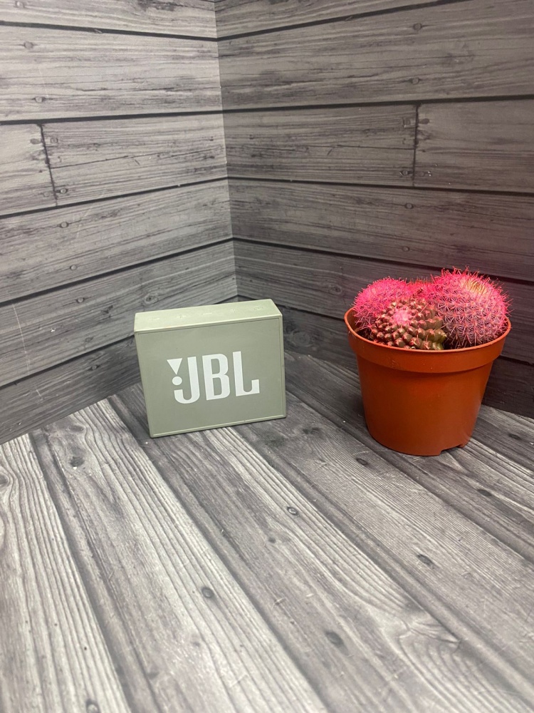 Акустика Bluetooth JBL Go