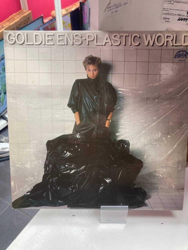 Виниловая пластинка