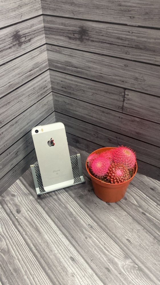 Смартфон iPhone SE 32 GB